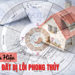 5 dấu hiệu mảnh đất bị lỗi phong thủy và cách hóa giải