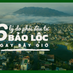 6 lý do phải đầu tư bất động sản Bảo Lộc ngay bây giờ