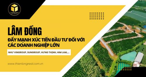 Lâm Đồng đẩy mạnh xúc tiến đầu tư đối với các doanh nghiệp lớn như Vingroup, Sungroup, Hưng Thịnh, Him Lam