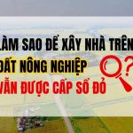 Làm sao để xây nhà trên đất nông nghiệp vẫn được cấp sổ đỏ?