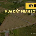 Nên hay không: Mua đất phân lô bán nền?