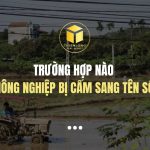 Trường hợp nào đất nông nghiệp bị cấm sang tên sổ đỏ?